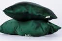 Silk Pillow